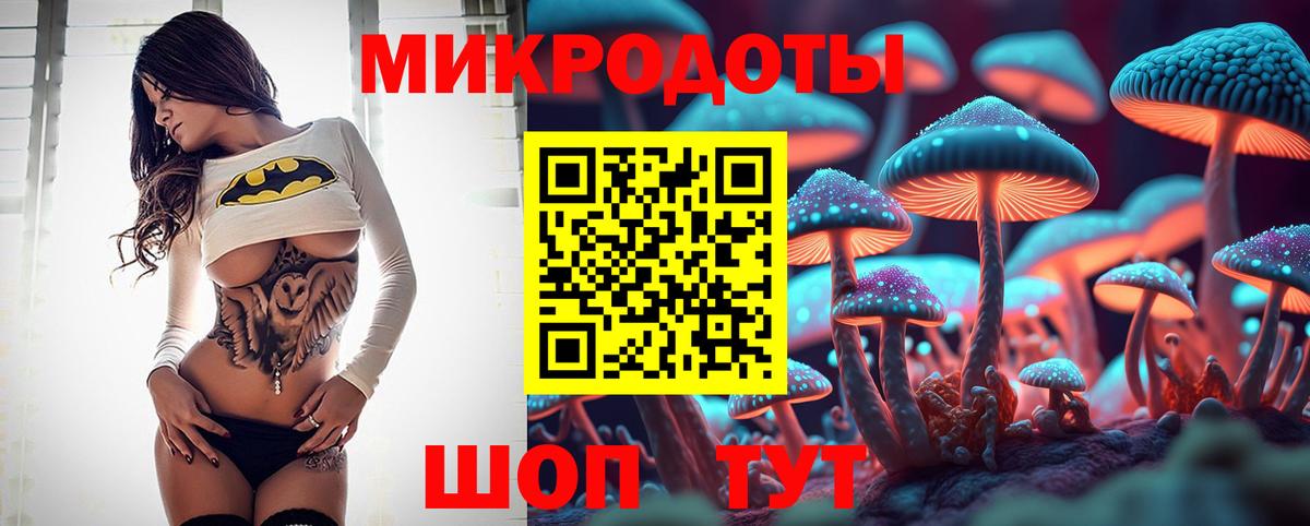 Псилоцибиновые грибы Psilocybine cubensis  что такое наркотик  Славгород  Вход с VPN 