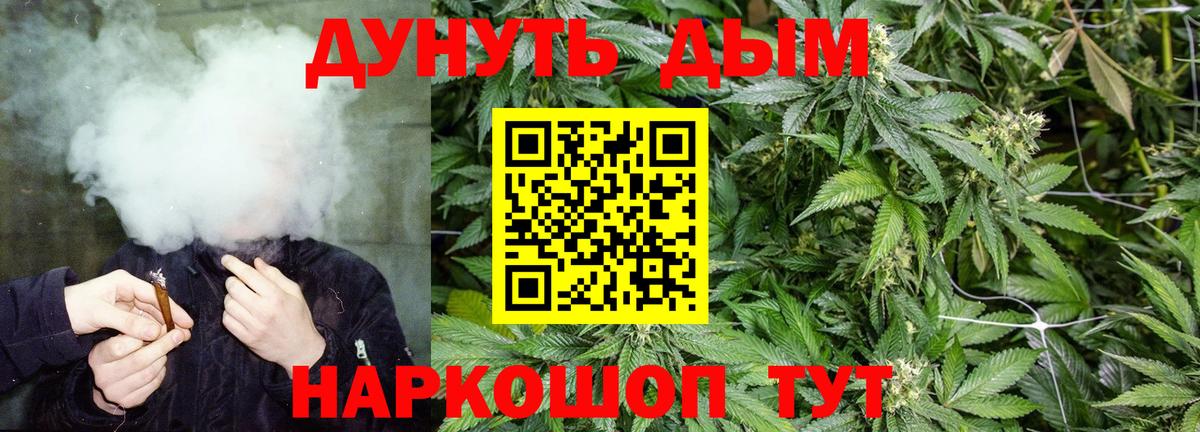 Конопля сатива Славгород
